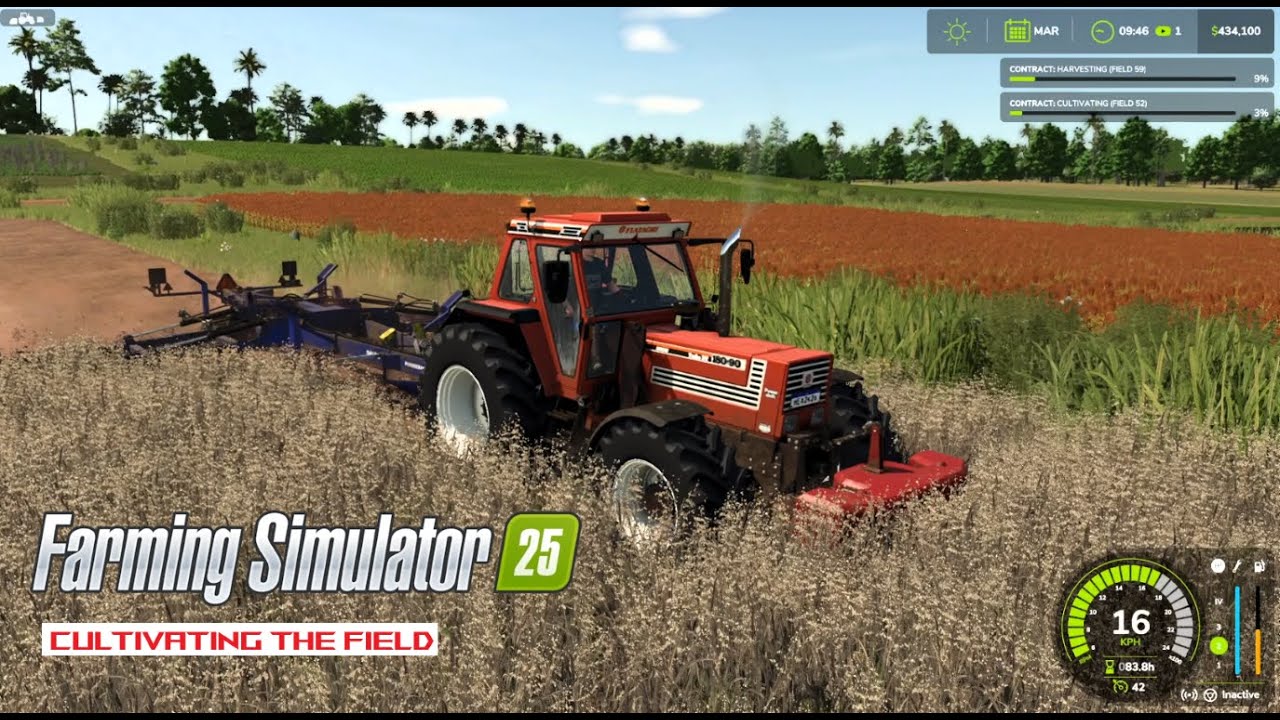 Cultivating the field
