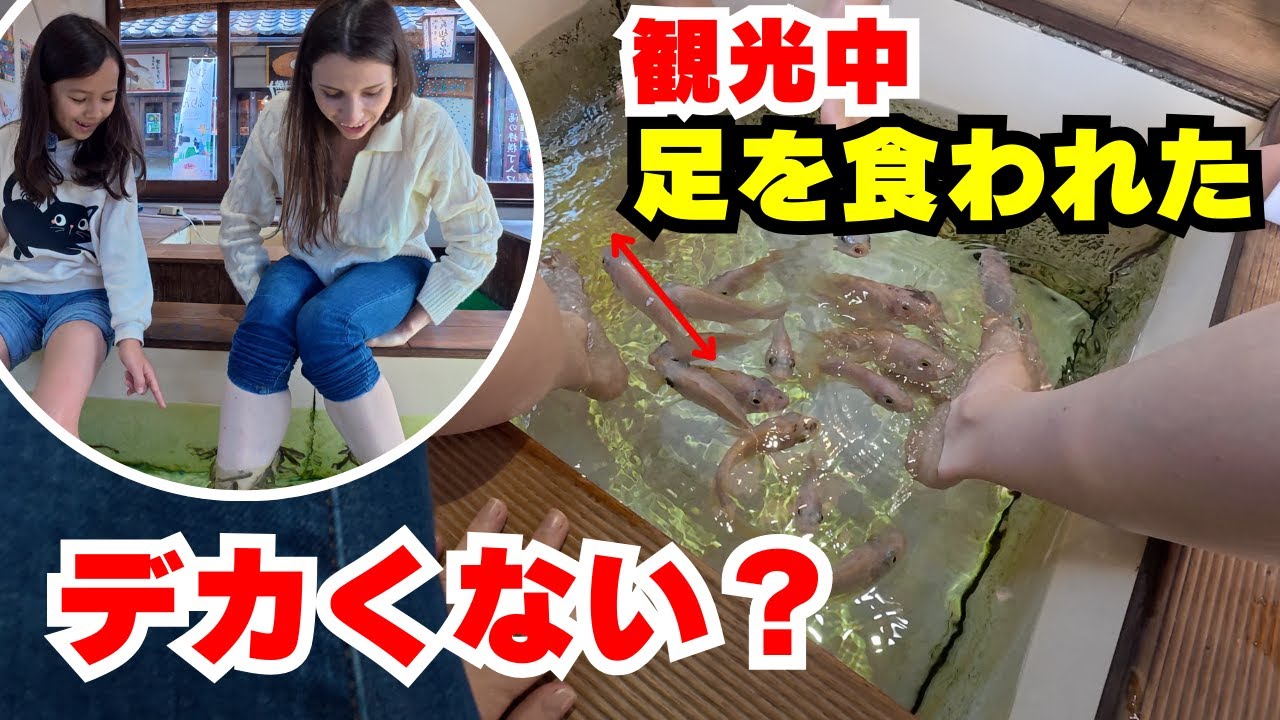 【衝撃】観光で大分に来たら、でかい魚に足を食べられた