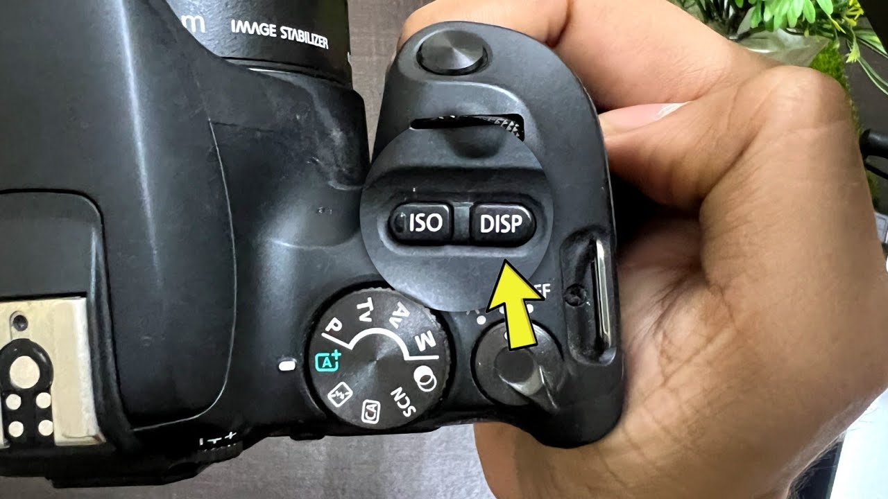 DSLR Camera me DISP kya hota hai | What is DISP button in Canon Camera