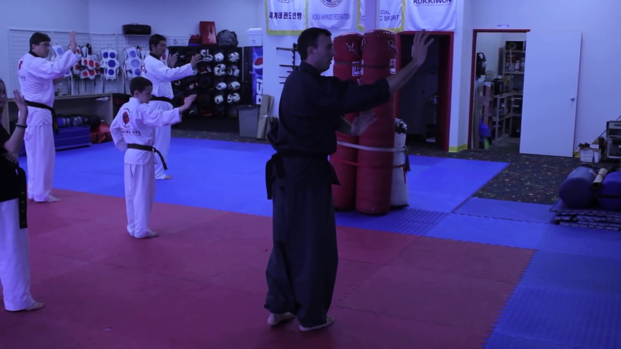 Widae Taekkyeon