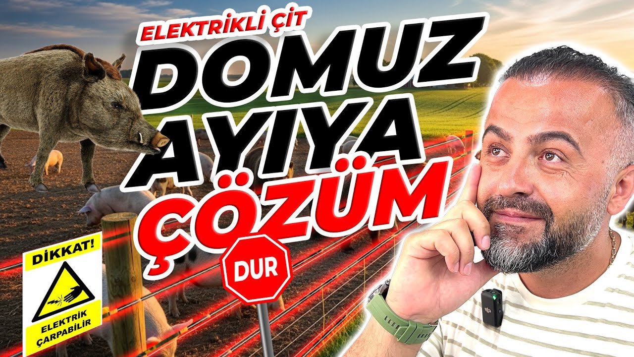 Çiftçilerin Kabusu Domuz ve Ayıya Karşı Kesin Çözüm Güneş Panelli Elektrikli Çit 7/24 Koruma