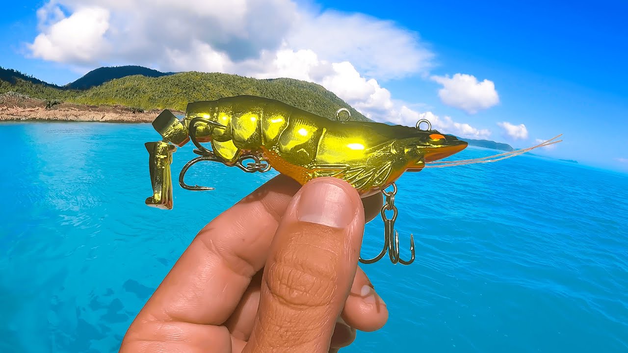 This NEW Lure Catches Everything!