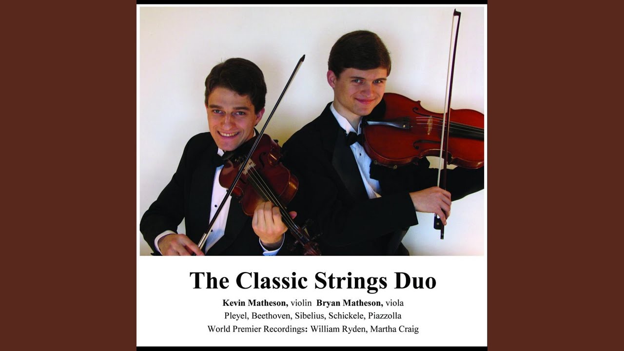 Grand Duo No. 1 in C Major, Op. 69: I. Allegro Spiritoso