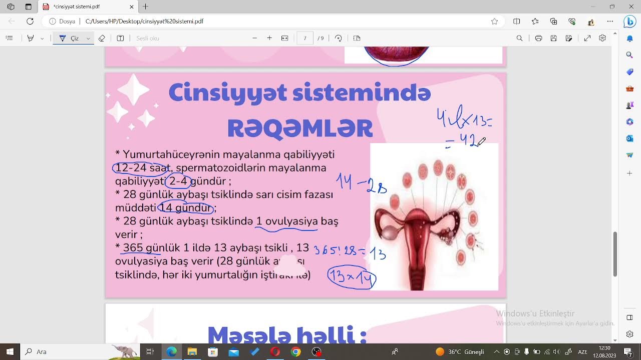 CİNSİYYƏT SİSTEMİ