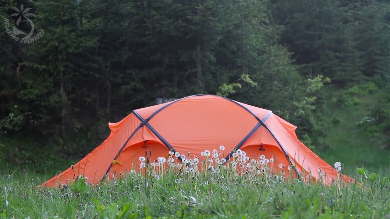 ⛺ The Sound of Raindrops Falling on a Canvas Tent. Rain Ambience will Make You Sleepy and Relaxed.