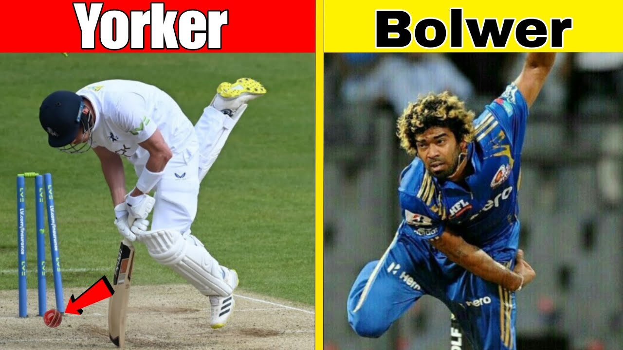 World’s Most Dangerous Yorker in Cricket History 😱