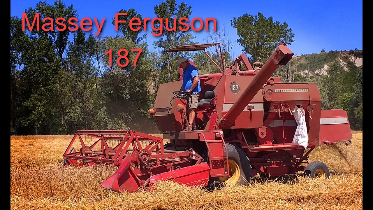 Mietitrebbia Massey Ferguson 187
