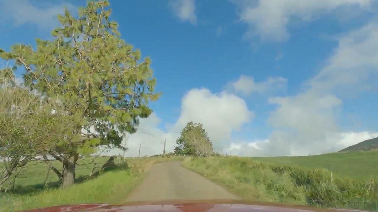 Ile de la Réunion,La Plaine des Cafres,part 14