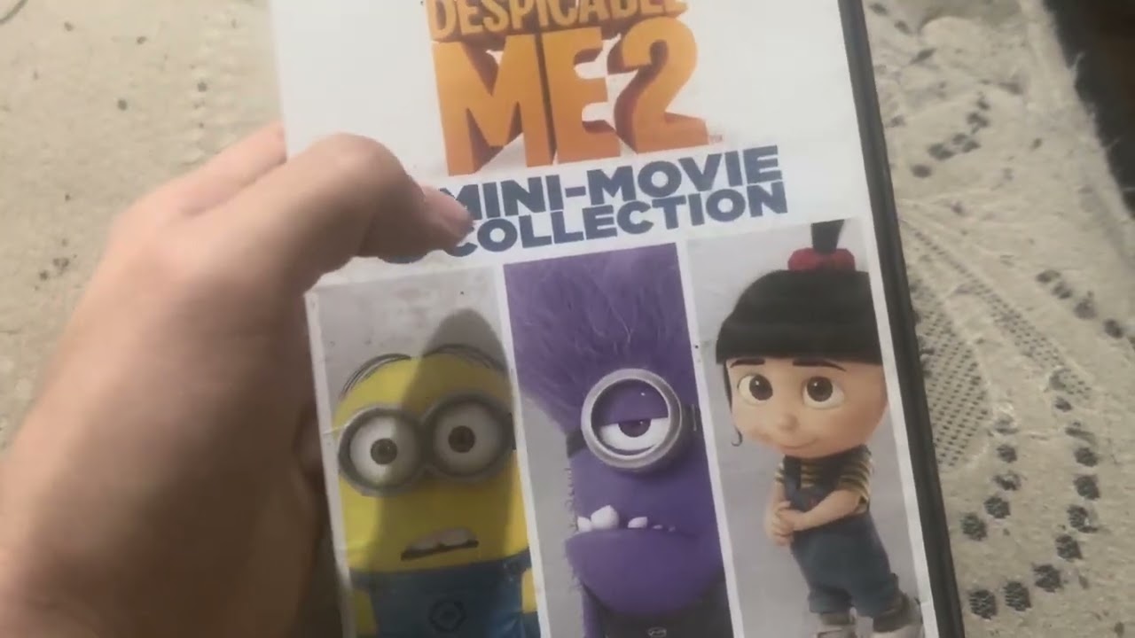 Despicable Me 2 DVD Overview 