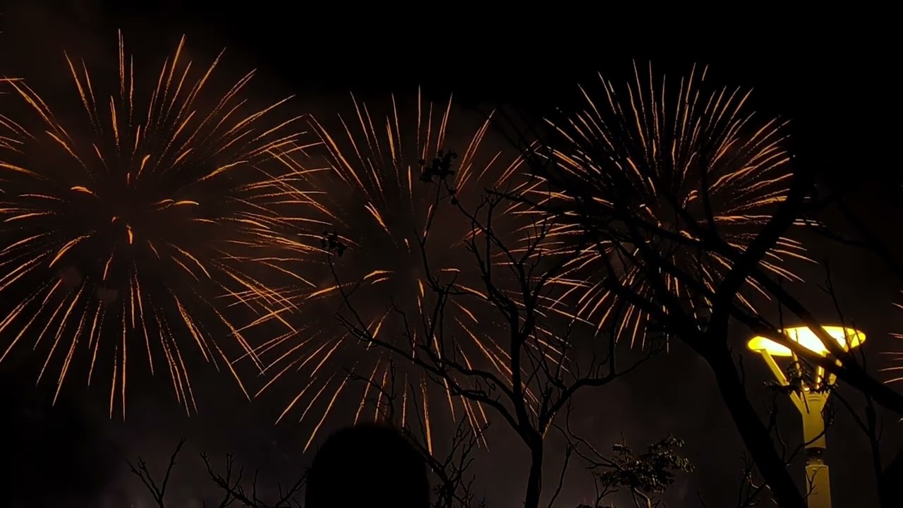 2026年香港農曆新年煙花匯演 ｜年初二煙花｜#香港 #hk #煙花 #煙火 #2026 #維港 #好去處 #fireworks #chineselunarnewyear #happynewyear