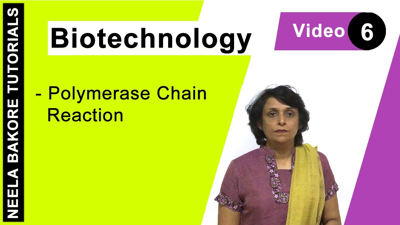 Biotechnology | NEET | Polymerase Chain Reaction | Neela Bakore Tutorials