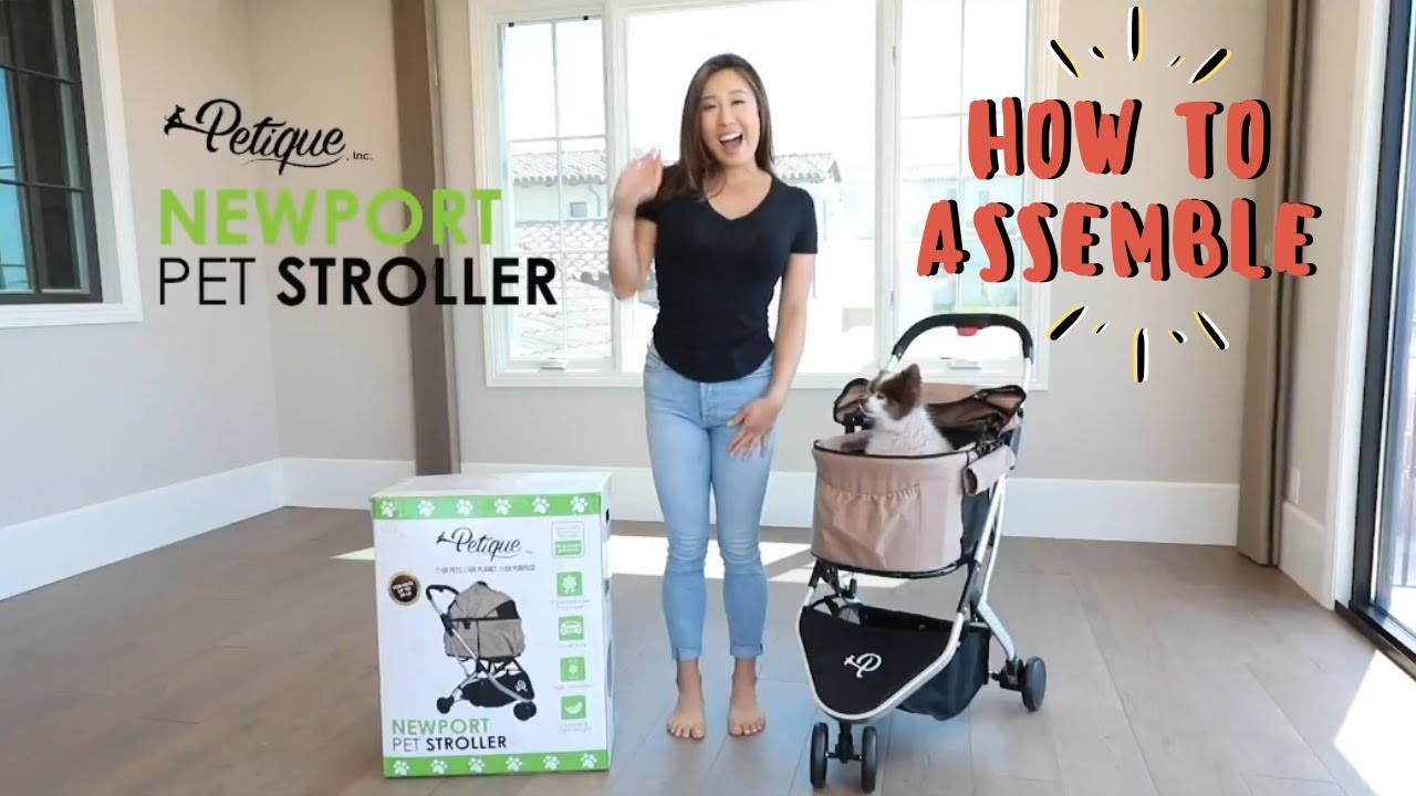 How to Easily Assemble the Petique Newport Pet Stroller