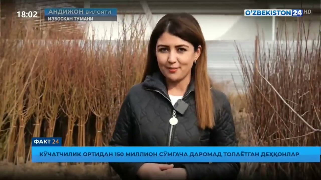 Избоскан тум Гулистон МФЙ яшовчи Йўлбарсов Шухратбек кўчатчилик ортидан 150 миллион даромад топмоқда