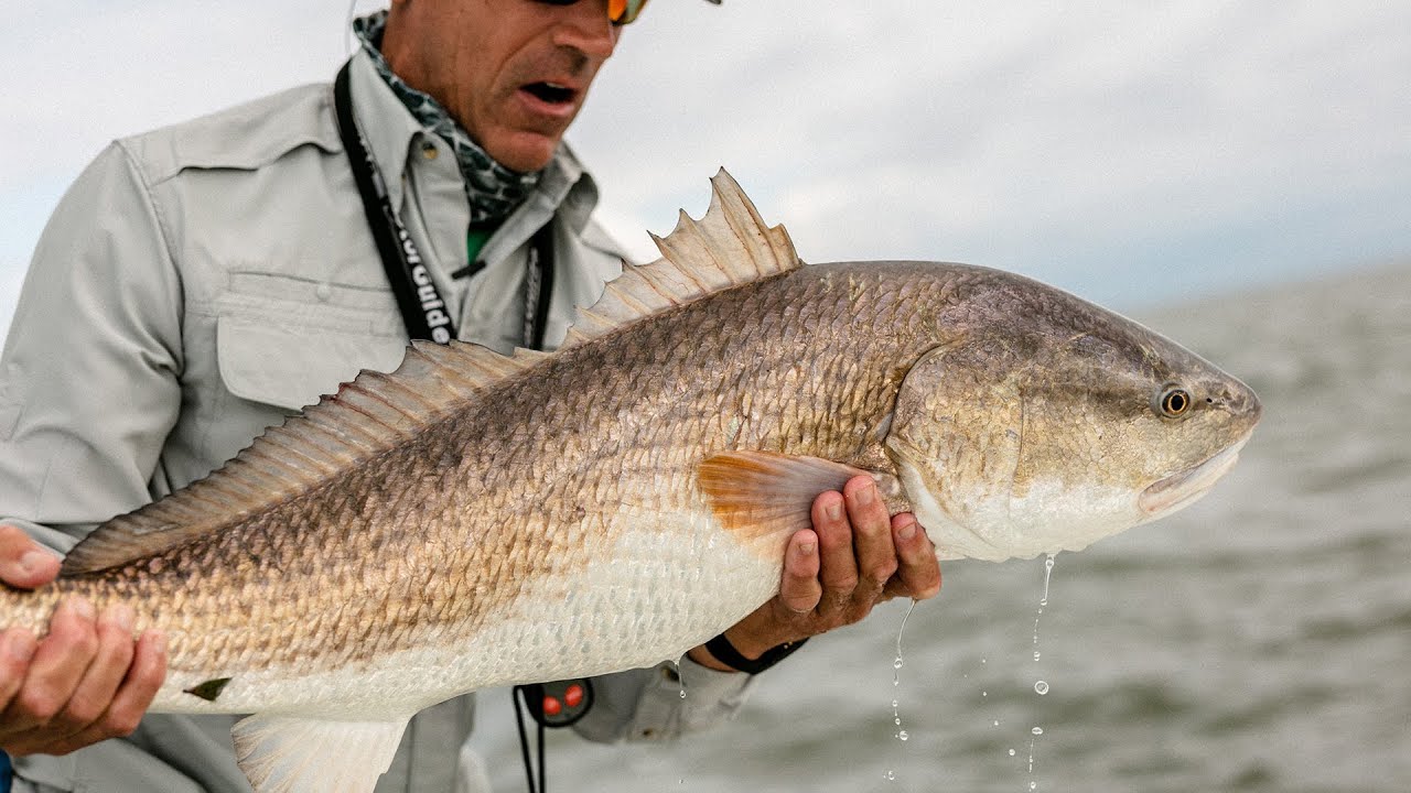 Unfathomed - FISHING CHARLESTON, SC for BULL REDFISH