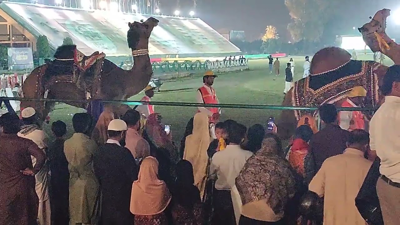 Camel Dance -Horse and Cattle Show Lahore -2022