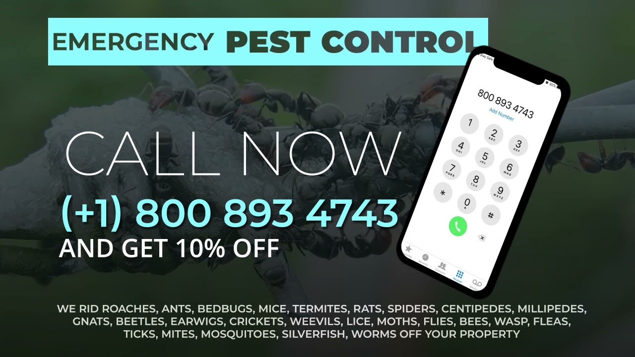 Emergency Pest Control