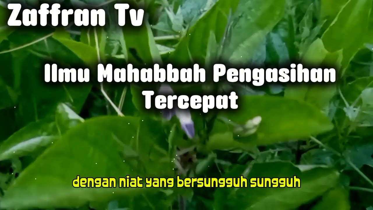 PELET AMPUH SENTUHAN TANGAN 1 KATA‼️siapapun targetmu, dia langsung jatuh cinta padamu ✓ilmu pelet 