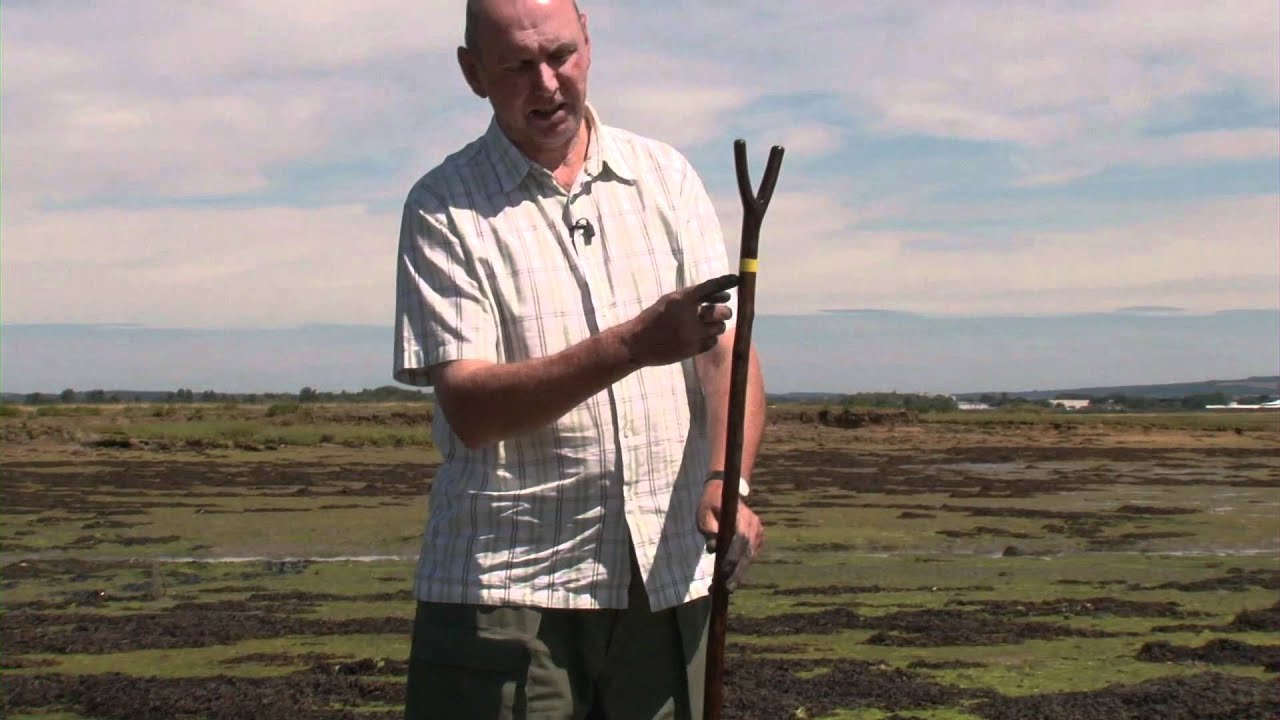The wildfowler's wading staff