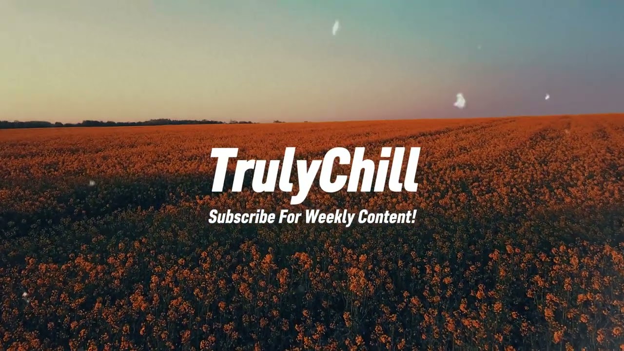 No Spirit x Casiio - Time to Share | Chill Study Beats | Lofi 🎶
