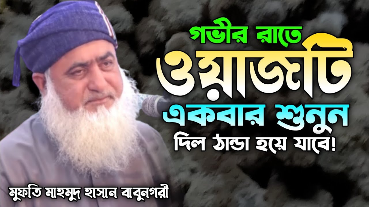 রাতে ঘুম না আসলে এই ওয়াজটি একবার শুনুন। মুফতি মাহমুদ হাসান বাবুনগরী। নতুন বাংলা ওয়াজ ২০২২. New Waz