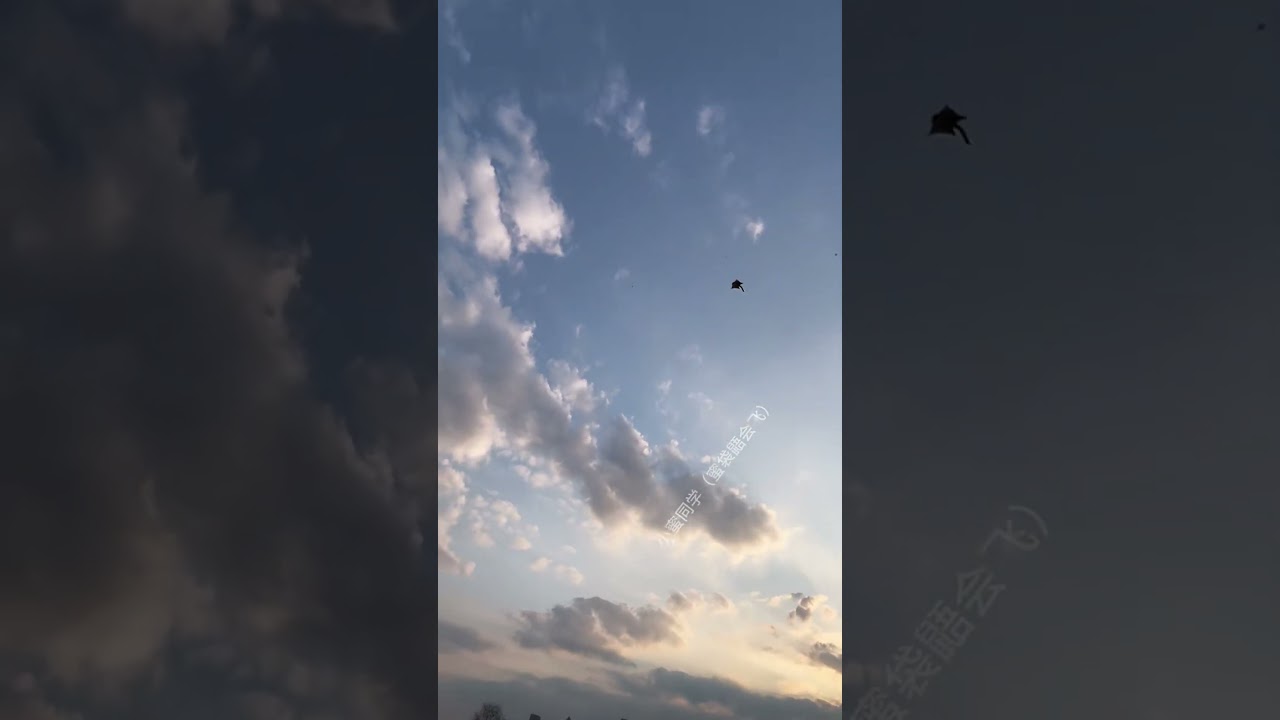 Tiny Sugar Glider Takes Flight Daily Training for the Cutest Pilot #cute #pets #funny #animals