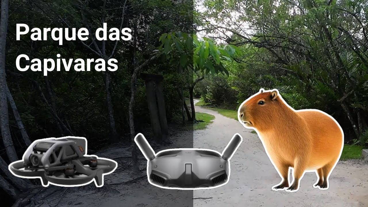 Parque das Capivaras Itapema SC