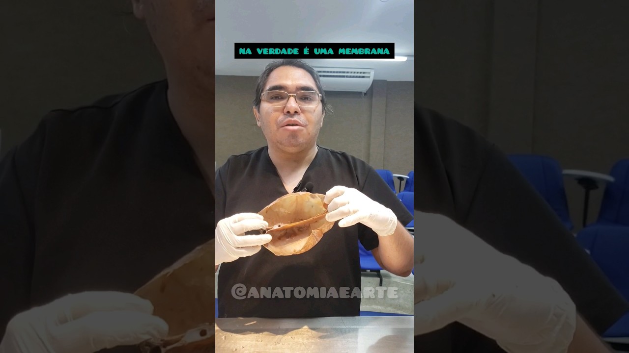 O que &eacute; a foice do c&eacute;rebro? revisando a dura m&aacute;ter. #anatomy #anatomia #medicina #meninges