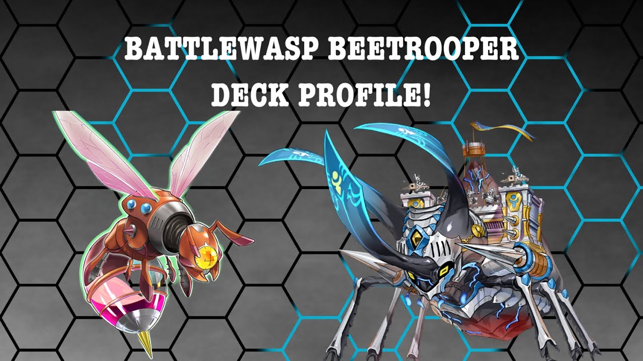 BATTLEWASP + BEETROOPER DECK PROFILE! NOVEMBER 2024!!