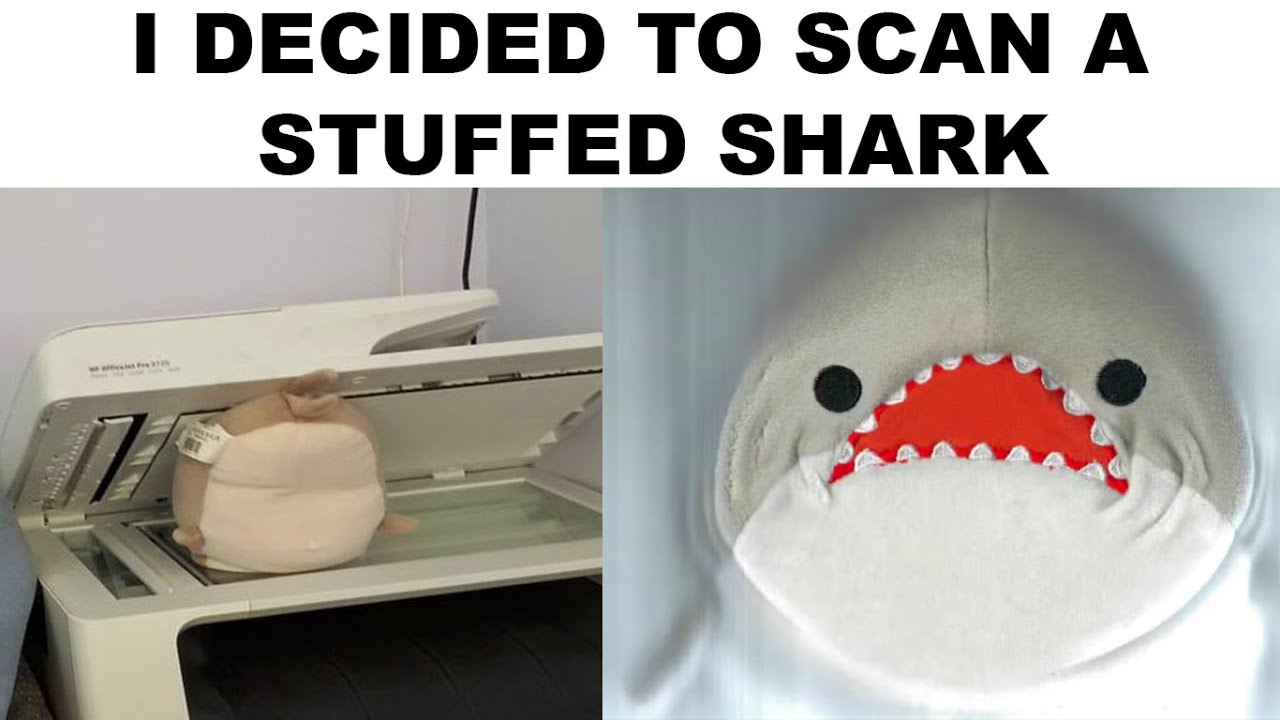 memes that are absolutely adorable