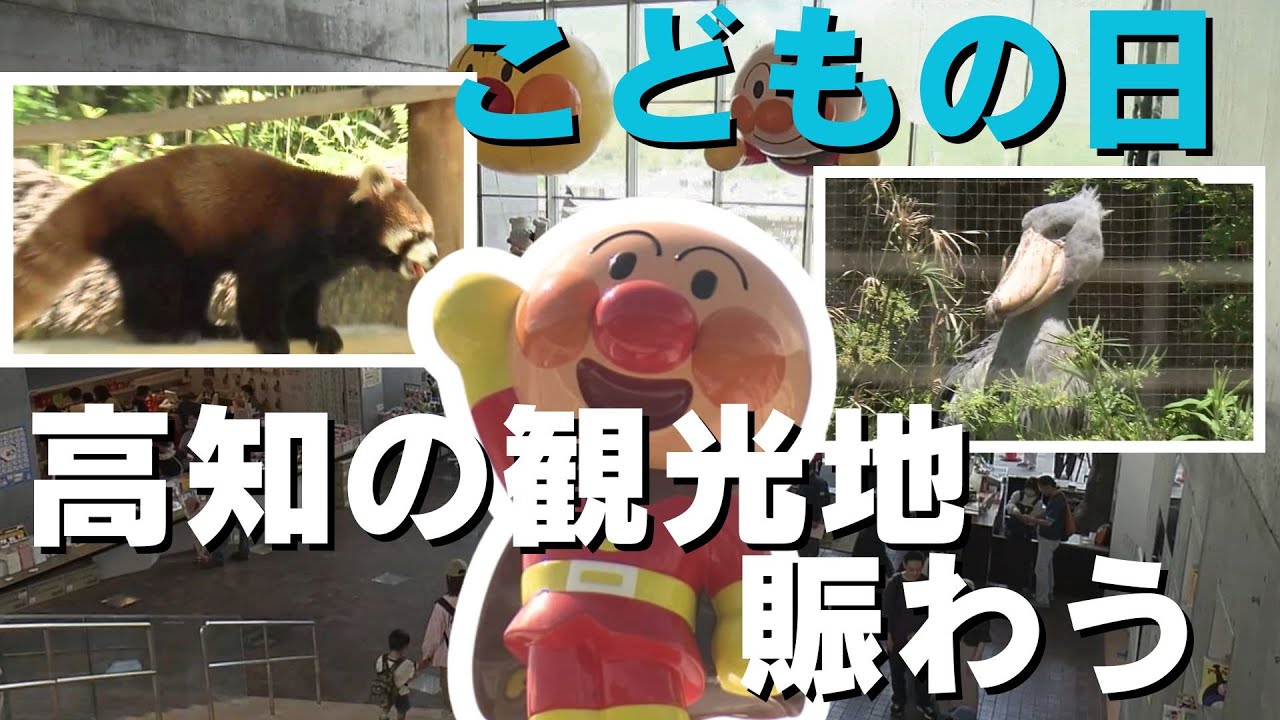 「GW後半 アンパンマンミュージアムやのいち動物園など 県内の観光地賑わう」2024/5/6放送