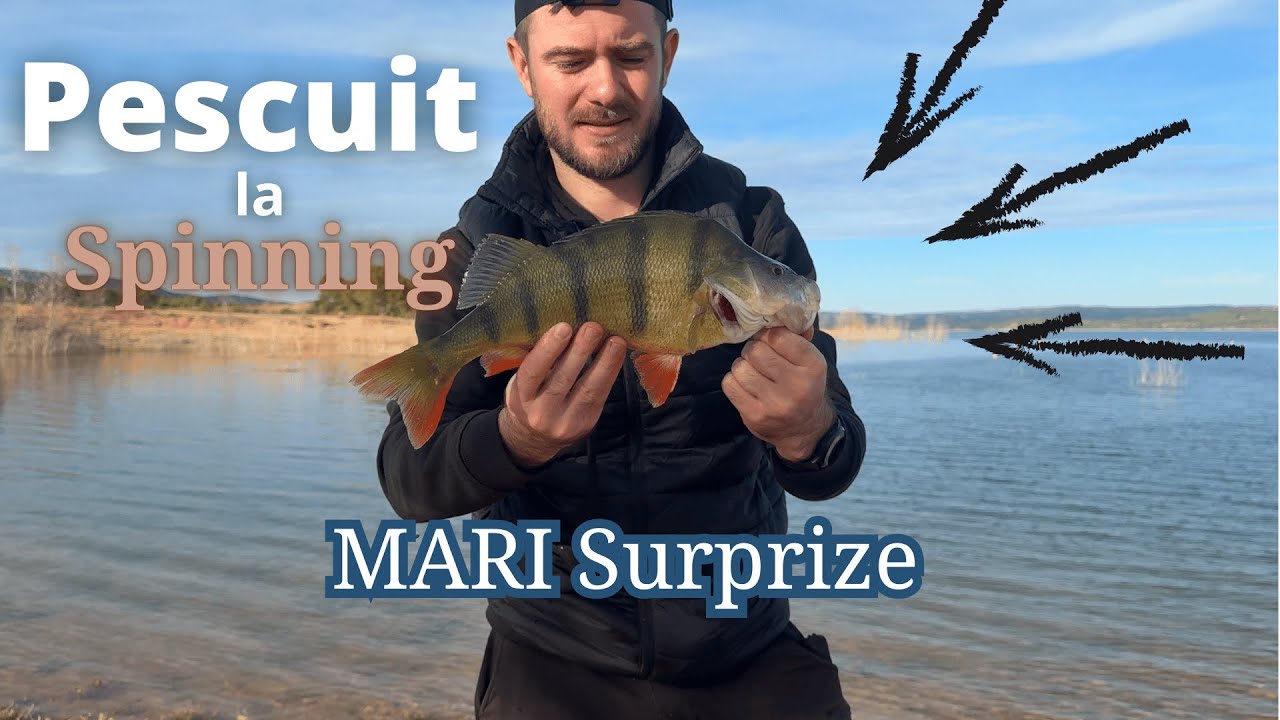 MARI Surprize la Spinning - Pescuit la Rapitor Ep.1 ( Biban, Salau, Black Bass) 2025