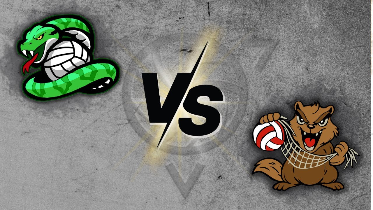 Venom vs. Strike vs. Gnaw | Court 3 | 9PM | DVA