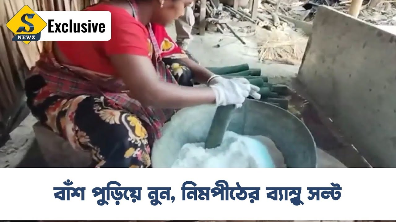 Bamboo Salt : বাঁশ পুড়িয়ে নুন, নিমপীঠের ব্যাম্বু সল্ট | korea | S Newz