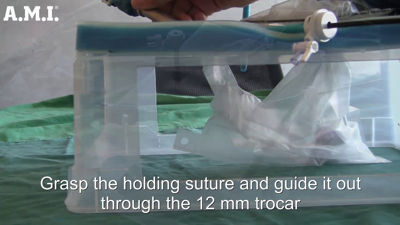 More Cell Safe - Step by Step