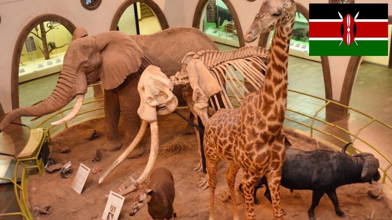 TOP 7 STUNNING ||Museums In Kenya East Africa That You Should Visit
