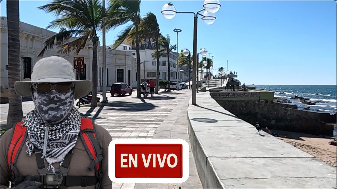 El Pulpo de Mazatl&aacute;n (y de la CDMX) est&aacute; en vivo