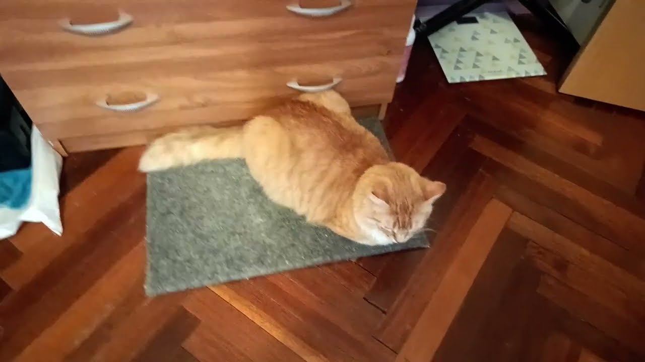Кузяша контролëр, мама трындец полный, сожгла принтер... 