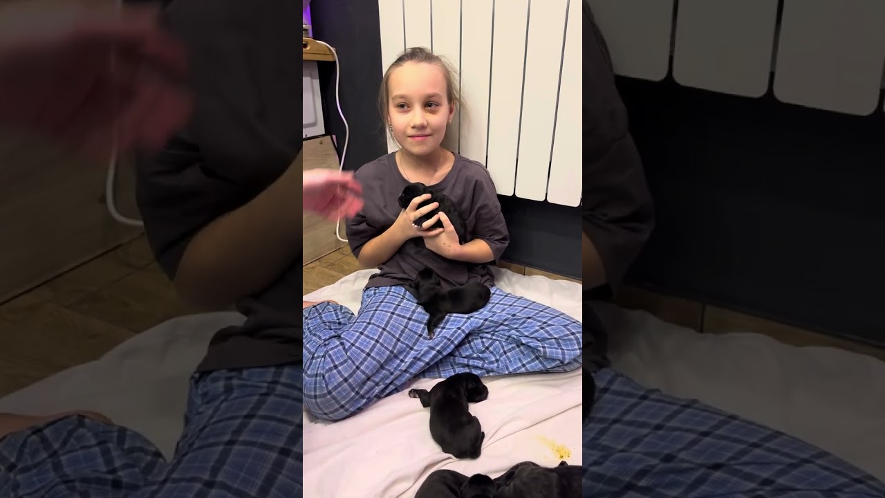 Сегодня праздник у девчат, сегодня у нас роды🥰