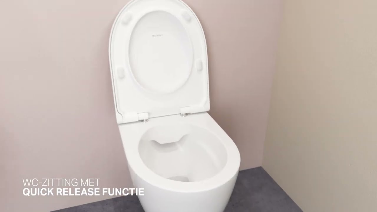 Geberit Icon Rimfree wc