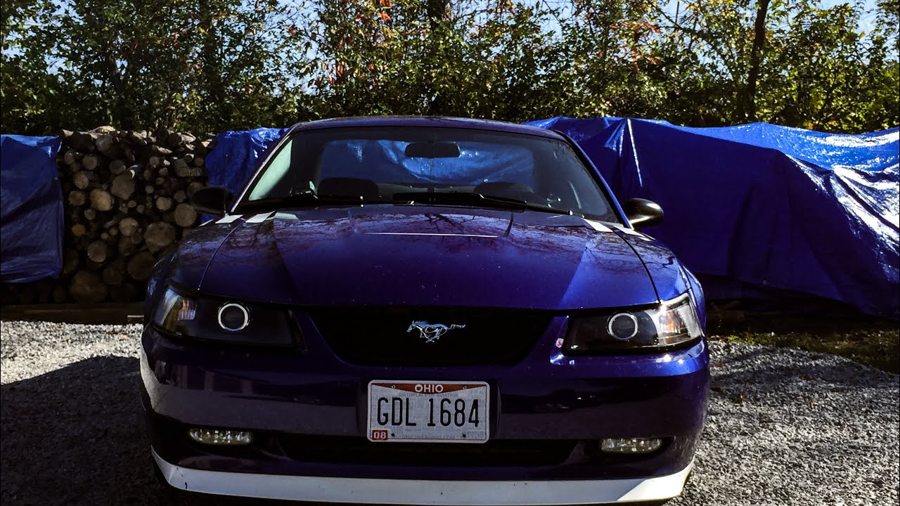 This is the BEST car ever!