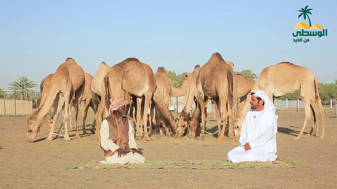 أهل الإبل - محين بن سرور الكتبي