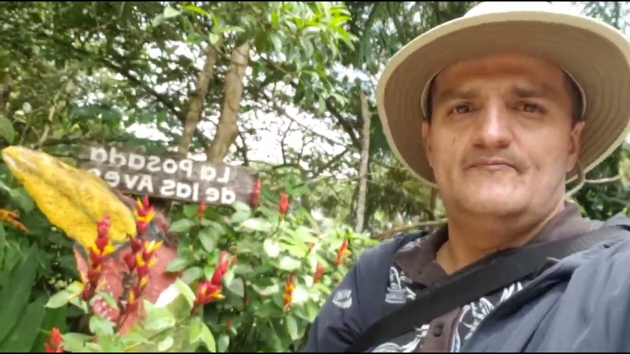 Desde la Posada de las Aves 