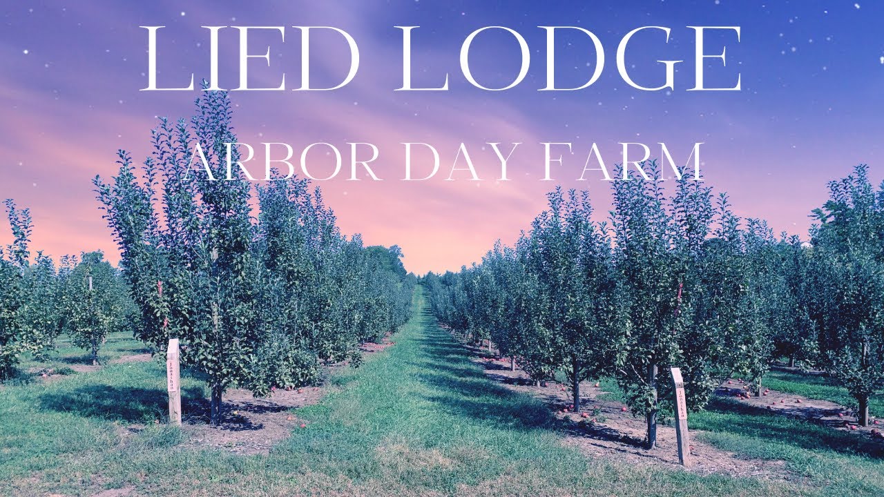 Staying at Lied Lodge on the Arbor Day Farm