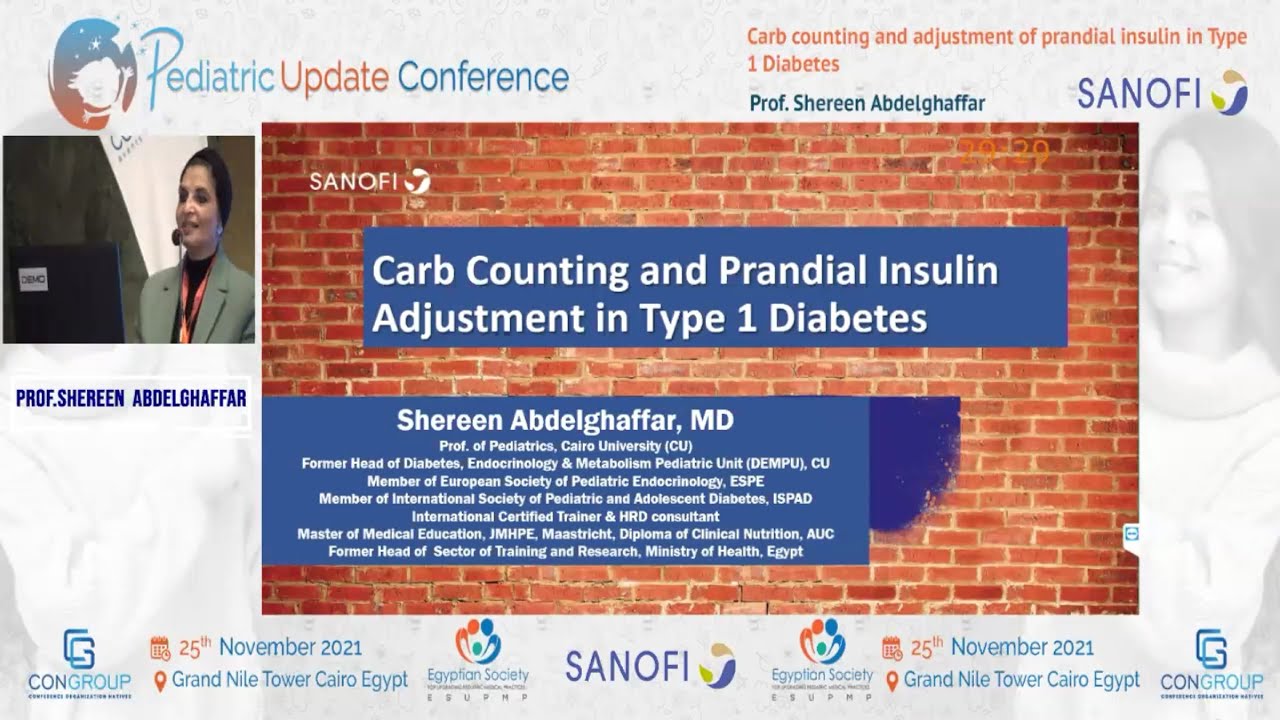carb counting and adjustment of prandial insulin in type 1 diabetes