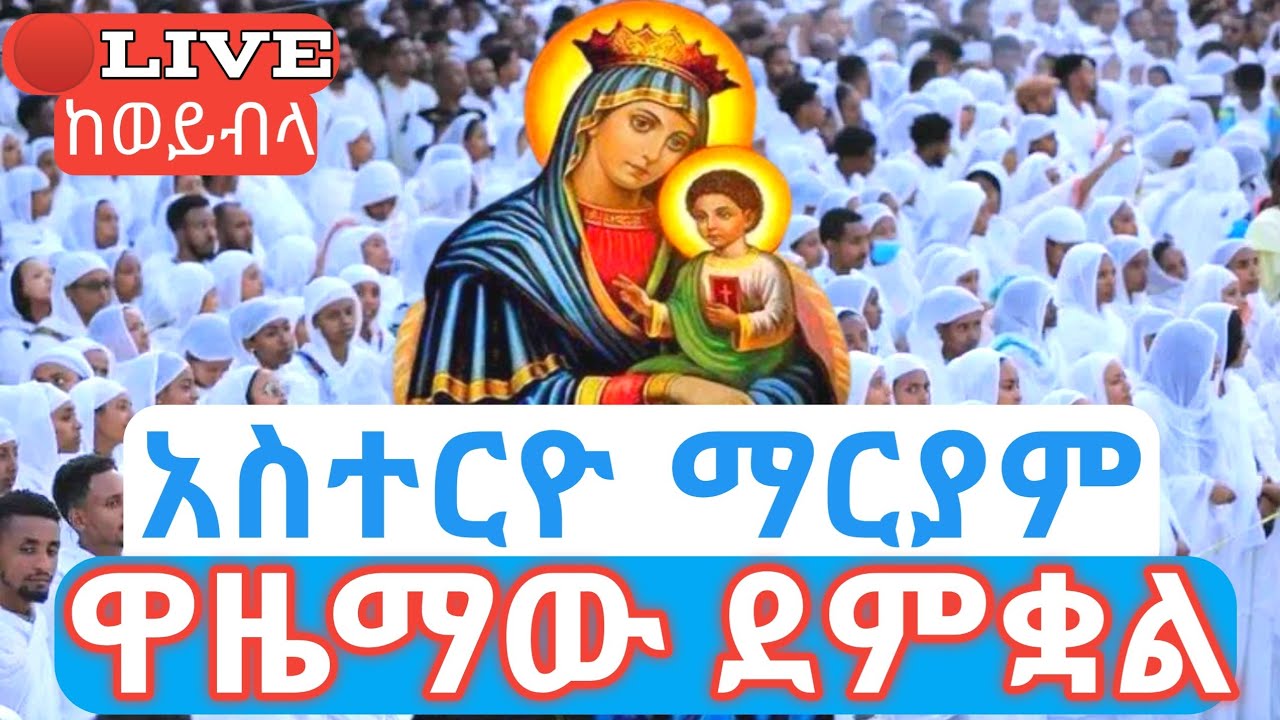 አስተርዮ ማርያም 🛑ቀጥታ ዋዜማው ደምቋል ከወይብላ ማርያም 41 ኢየሱስ #ethiopian_orthodox_tewahdo