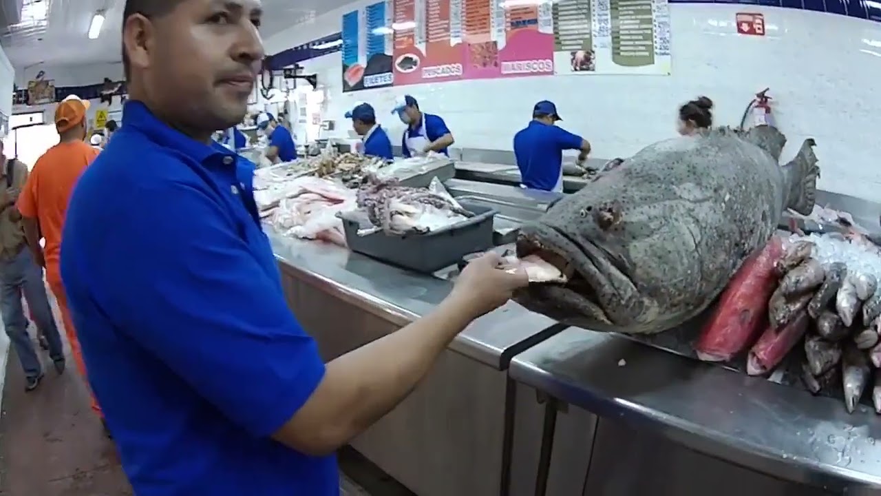 UN GATITO BUSCABA PESCADO