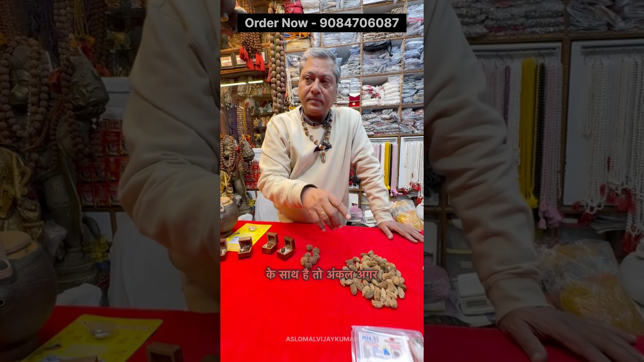 एकमुखी रुद्राक्ष: ( नेपाली , हिमालय, रामेश्वरम , सवार) प्रकार, मूल्य और महत्व🕉️🔱❤️