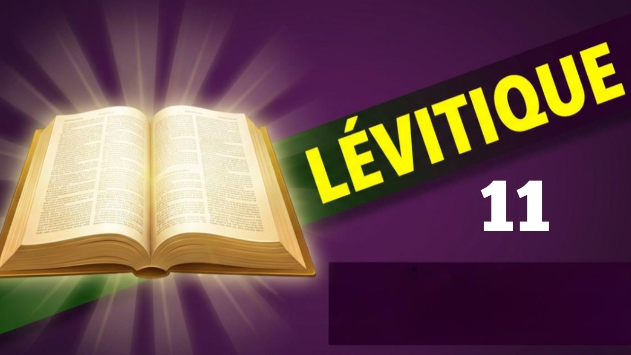 L&Eacute;VITIQUE 11 | UN PEUPLE MIS &Agrave; PART