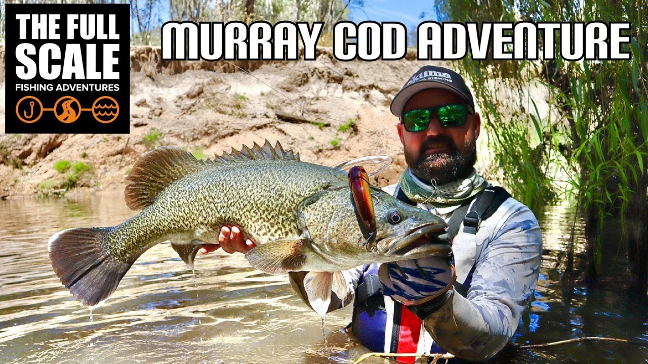 Murray Cod Kayak ADVENTURE | The Full Scale