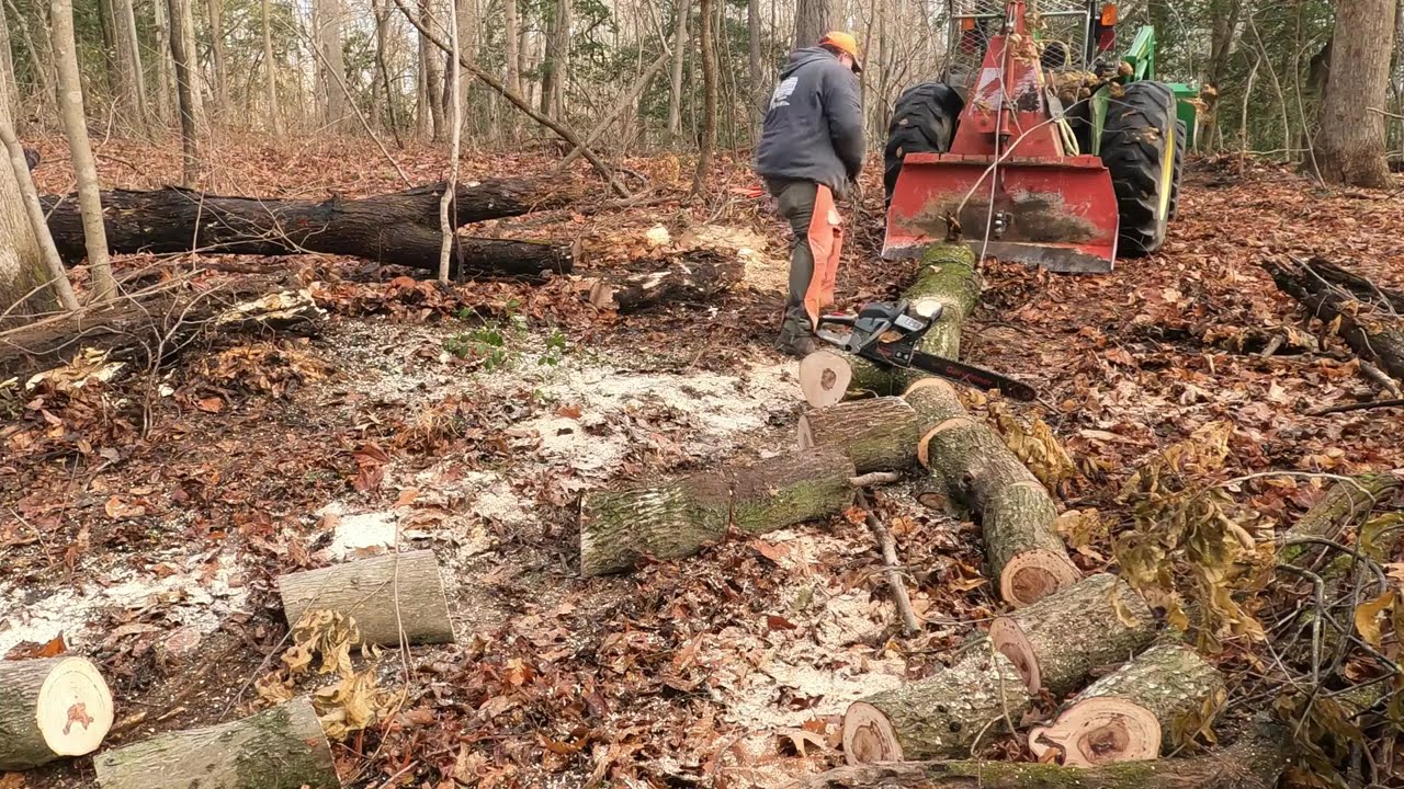 Husquvarna 460 rancher vs china  Garwinner 62 cc chainsaw. The clear winner. #chainsaw